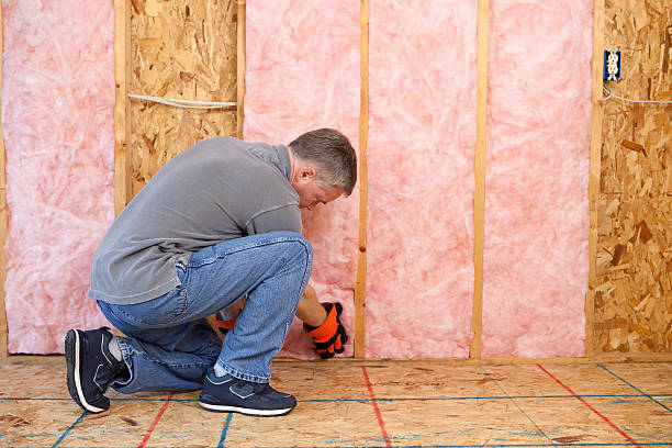 Best Garage Insulation Installation  in Flossmoor, IL